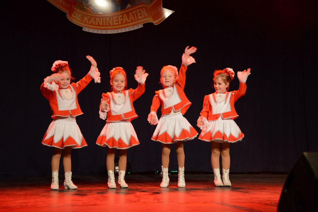 ../Images/Dansmarieke festival 2015 052.jpg